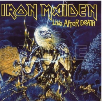 Iron Maiden T Shirt Iron on Transfer  Decal  ~#4