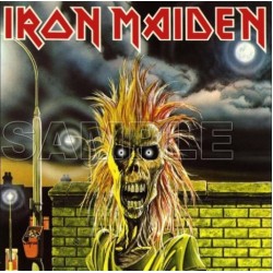 Iron Maiden T Shirt Iron on Transfer  Decal  ~#2