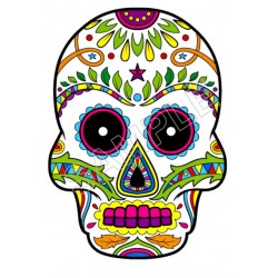 Mexican Sugar Skull  T Shirt Iron on Transfer  Decal  ~#11