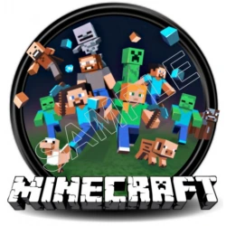 Minecraft  T Shirt Iron on Transfer  Decal  ~#4