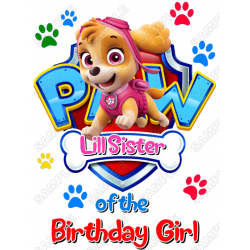 Paw Patrol  Skye  Birthday Custom Personalized  Iron on Transfer ~#1