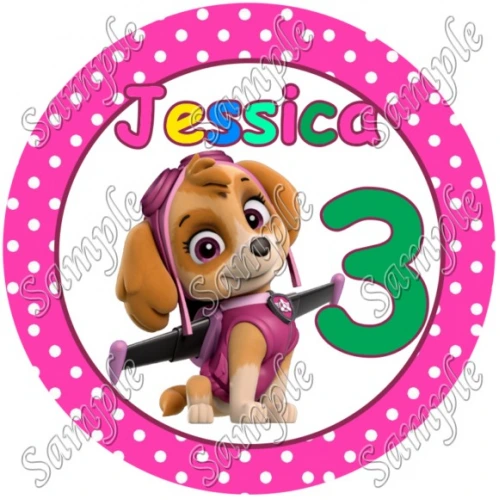  Paw Patrol Skye Birthday  Custom Personalized  T Shirt Iron on Transfer Decal ~#2 by www.topironons.com