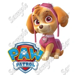 PAW Patrol Skye T Shirt Iron on Transfer  Decal  ~#3