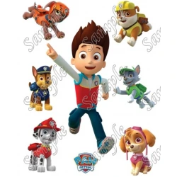 PAW Patrol  T Shirt Iron on Transfer  Decal  ~#10