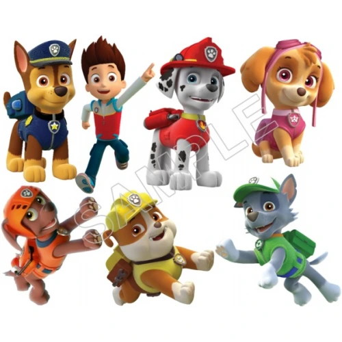  Paw Patrol T Shirt Iron on Transfer  Decal  ~#7 by www.topironons.com
