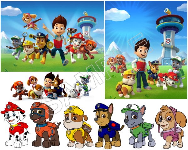 Paw Patrol T Shirt Iron on Transfer Decal ~#8