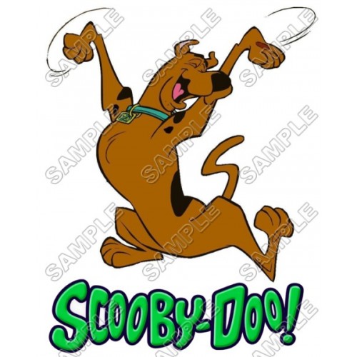  Scooby-Doo T Shirt Iron on Transfer Decal ~#3 by www.topironons.com