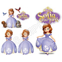 Sofia The First  Game T Shirt Iron on Transfer Decal ~#1