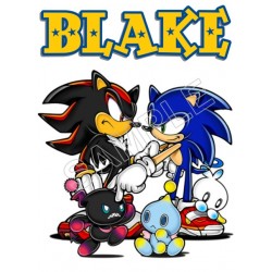 Sonic  Personalized  Custom  T Shirt Iron on Transfer Decal ~#112