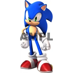 Sonic T Shirt Iron on Transfer Decal ~#25
