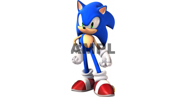 Sonic Characters T Shirt Iron on Transfer Decal #38