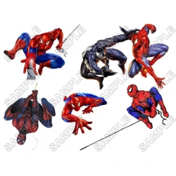 SpiderMan T Shirt Iron on Transfer Decal ~#2