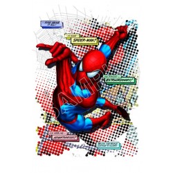 SpiderMan T Shirt Iron on Transfer Decal ~#8