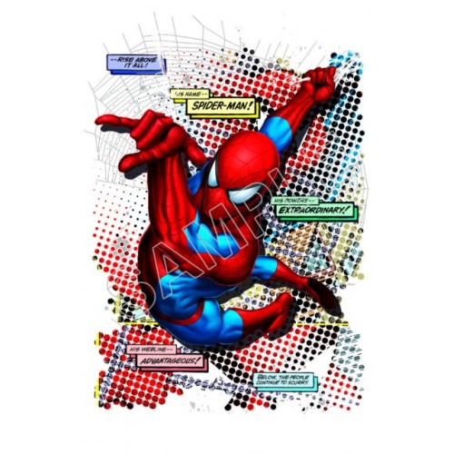  SpiderMan T Shirt Iron on Transfer Decal ~#8 by www.topironons.com