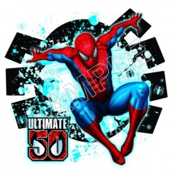 SpiderMan T Shirt Iron on Transfer Decal ~#9