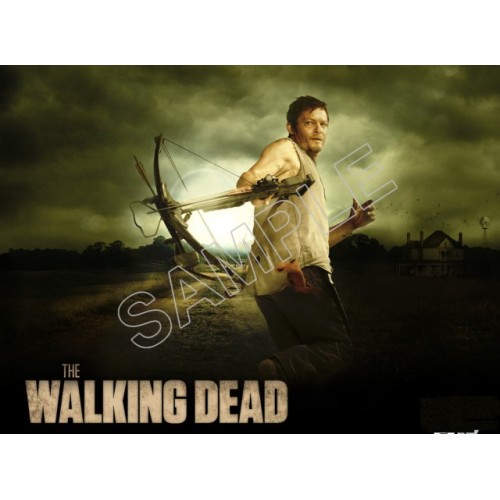  Walking Dead Daryl Dixon  T Shirt Iron on Transfer Decal ~#2 by www.topironons.com