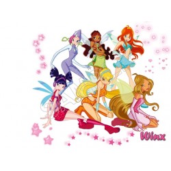 Winx Club  Fairy T Shirt Iron on Transfer Decal ~#1