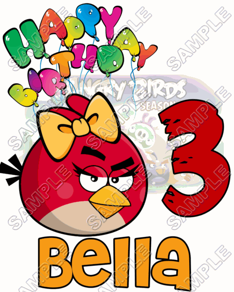 Angry  Birds  Birthday  Personalized  Custom  T Shirt Iron on Transfer Decal ~#17